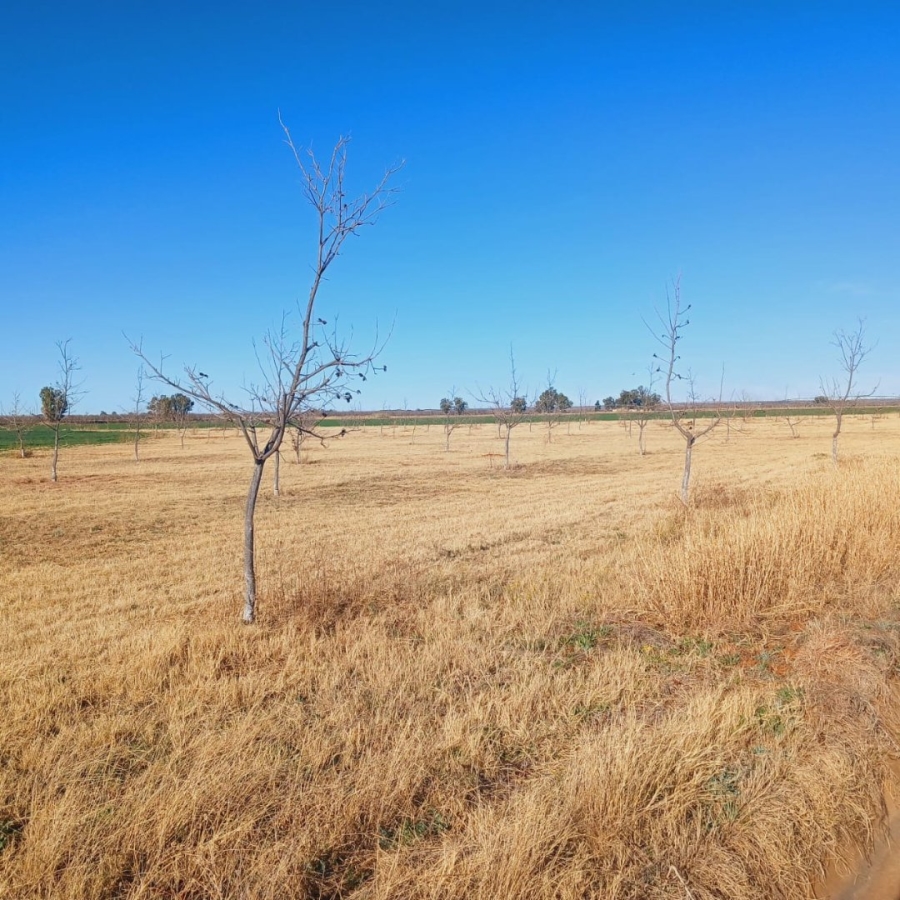  Bedroom Property for Sale in Barkly West Rural Northern Cape